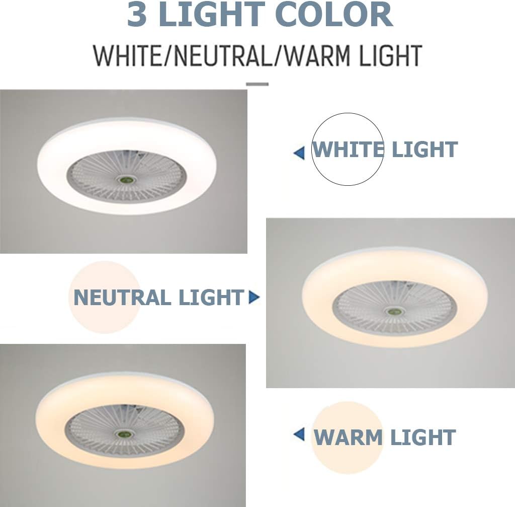 White 22 In Enclosed Ceiling Fan With Lights G507966
