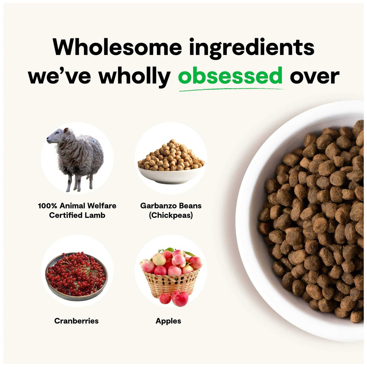 Grain-Free Pasture Raised Lamb Dry Dog Food F19129