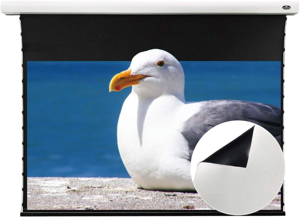 Motorized Tension Projector Screen N531