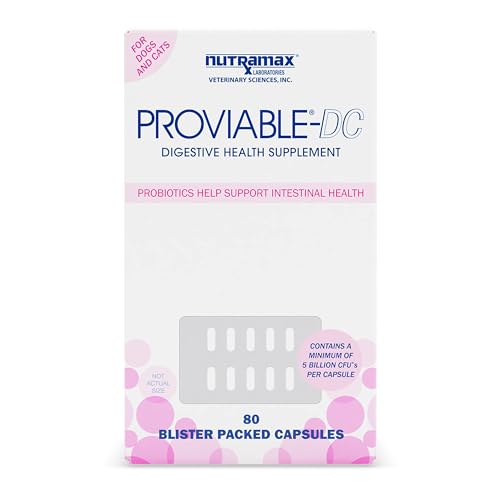 80 Capsules Probiotics and Prebiotics Supplement T989360