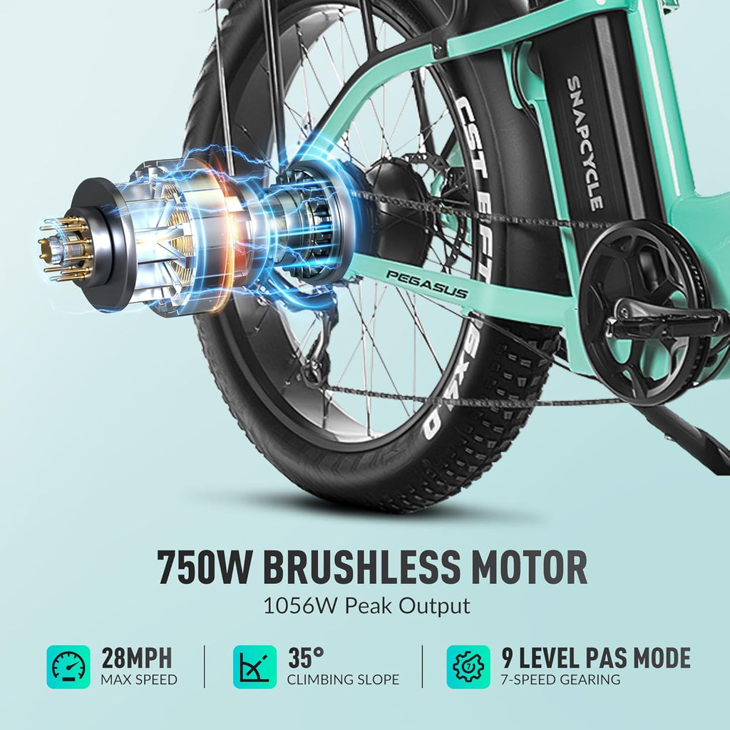 1000W Peak Motor 26" x 4.0 Fat Tire Step-Thru Ebike with 48V 15AH Removable Battery Q791278