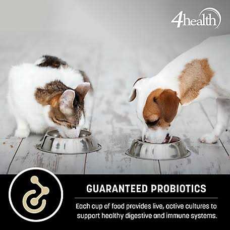 4health Wholesome Grains Adult Lamb and Rice Formula Dry Dog Food C283118