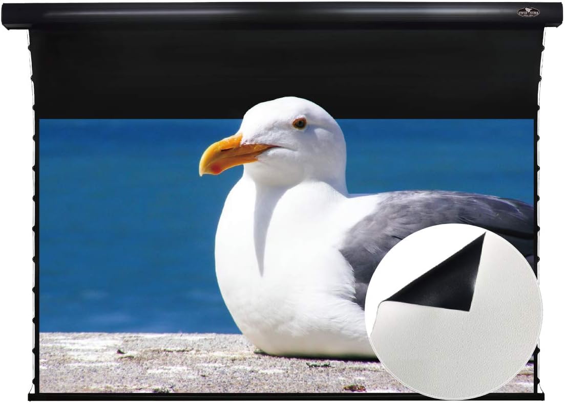 Motorized Tension Projector Screen N531