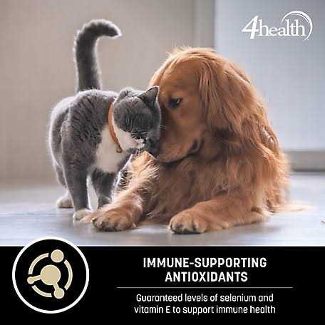 4health Wholesome Grains Adult Lamb and Rice Formula Dry Dog Food C283118