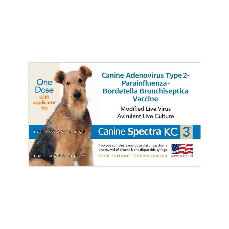 Pet Supplies Y640