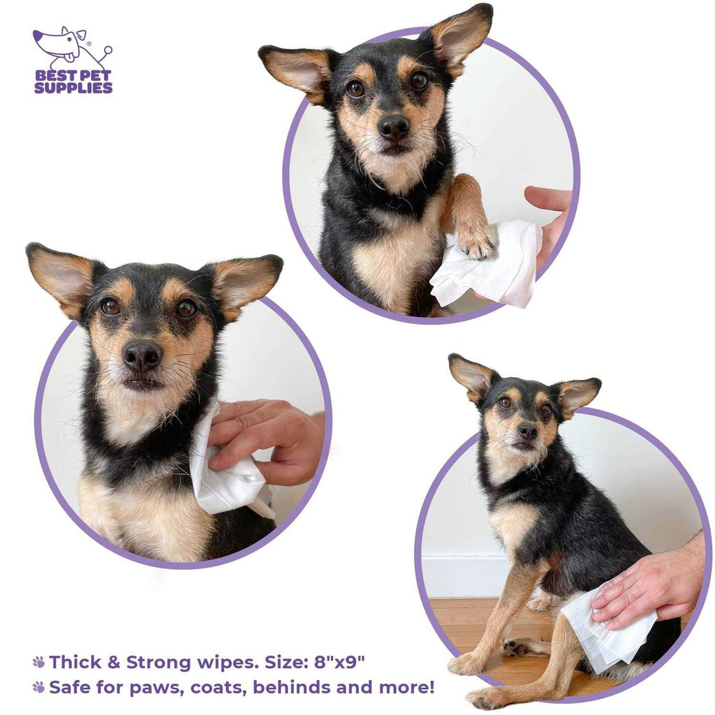 Plant-Based Pet Grooming Wipes G4047