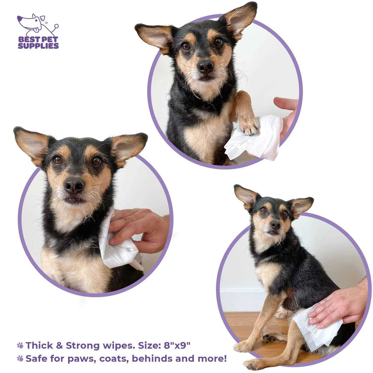 Plant-Based Pet Grooming Wipes G4047