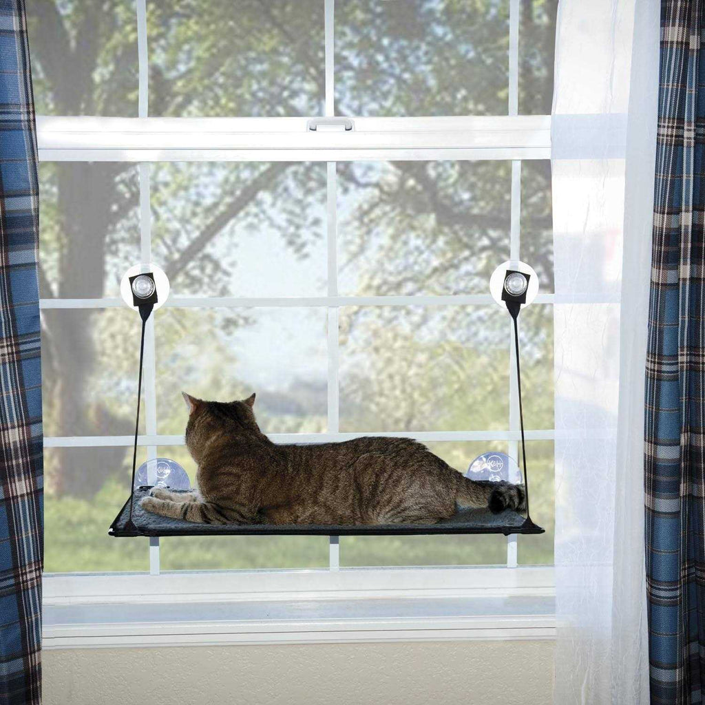 Window Kitty Sill N539173