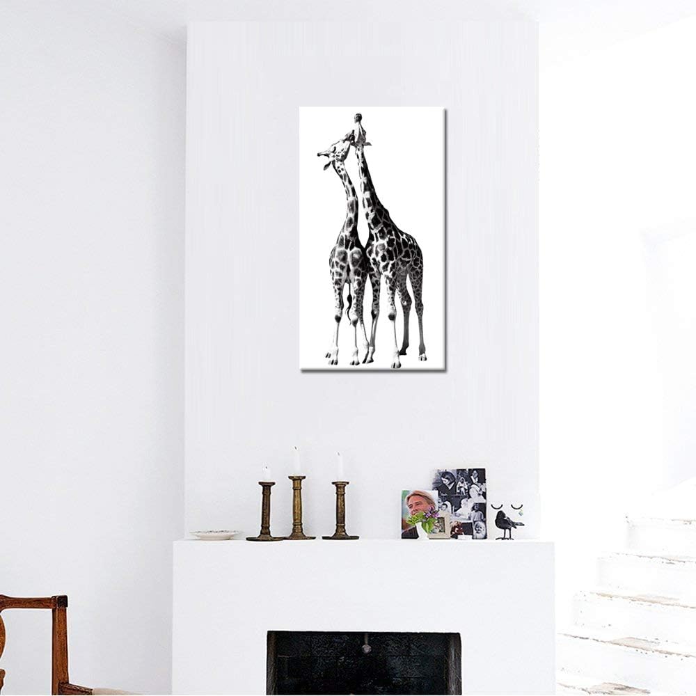 Black and White Giraffe Canvas Prints Gallery Wrapped Painting 20 x 36 Inch N771