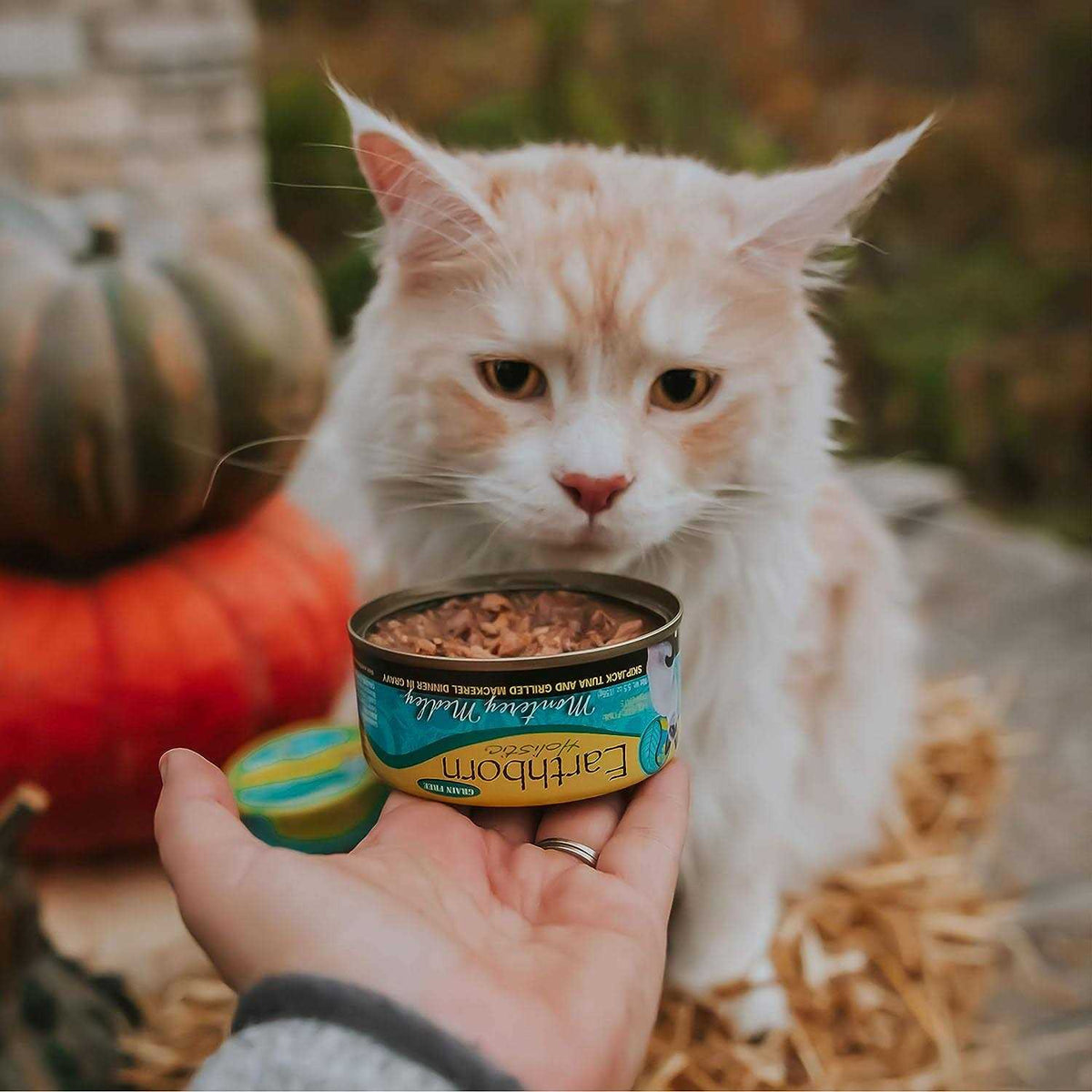 Monterey Medley Cat Food A124014