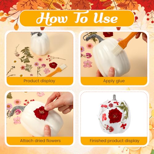 12 Pcs White Artificial Pumpkin and 140 Pcs Dried Flowers DIY Crafts Kit N81715