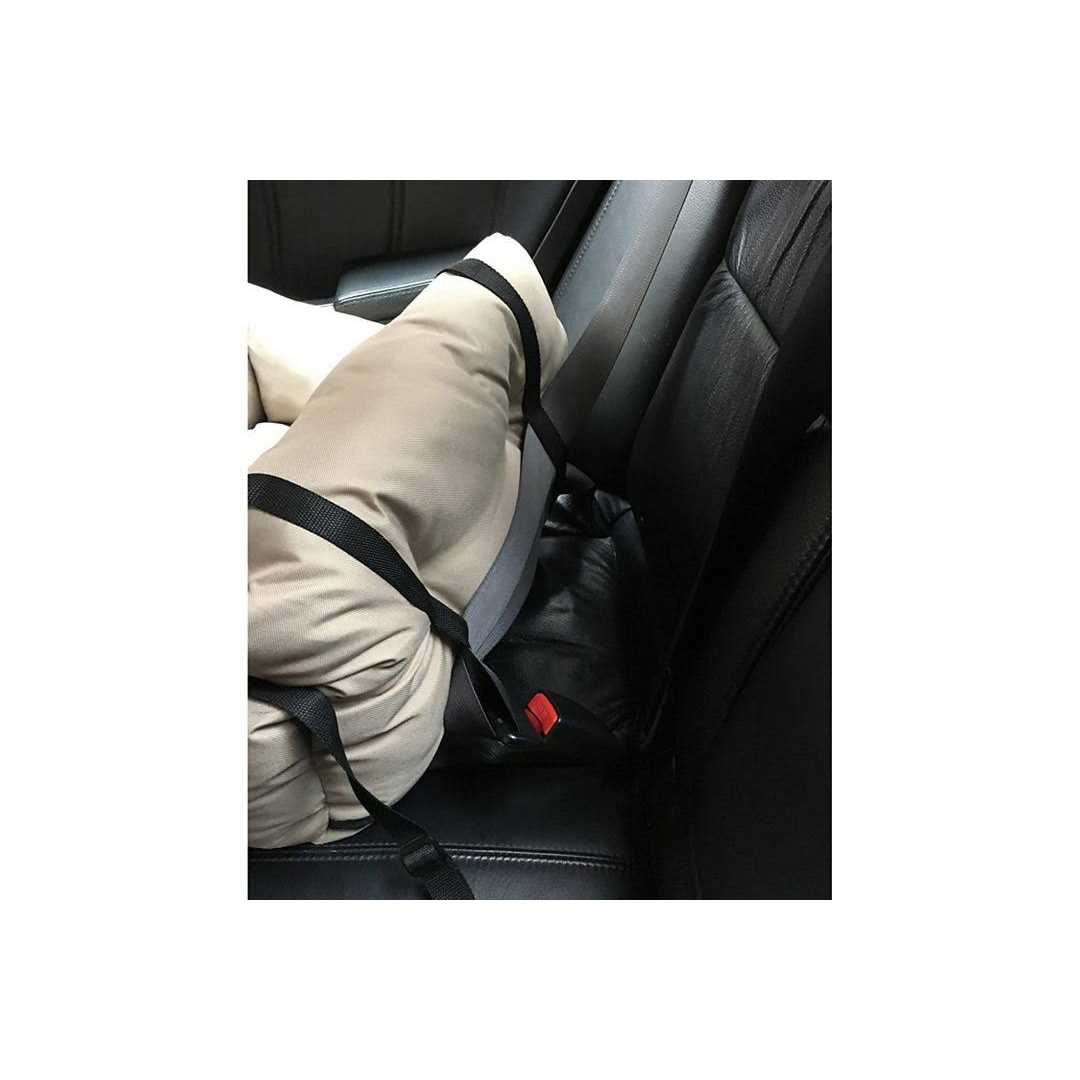 Travel Pet Bed P5177