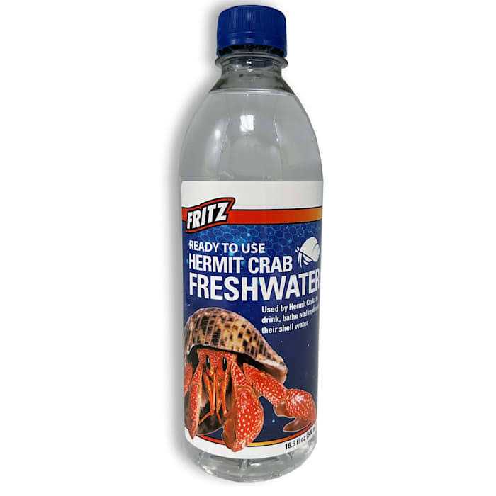 Hermit Crab Fresh Water W9255