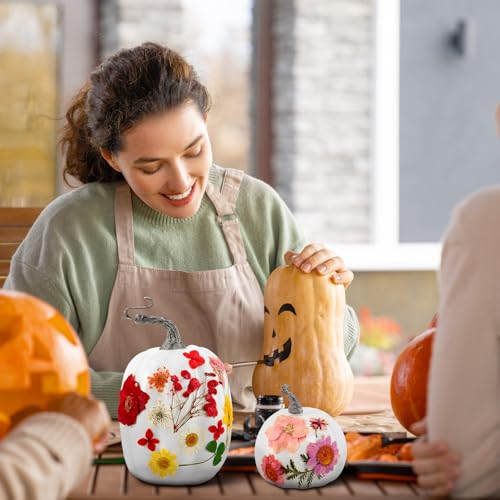 12 Pcs White Artificial Pumpkin and 140 Pcs Dried Flowers DIY Crafts Kit N81715