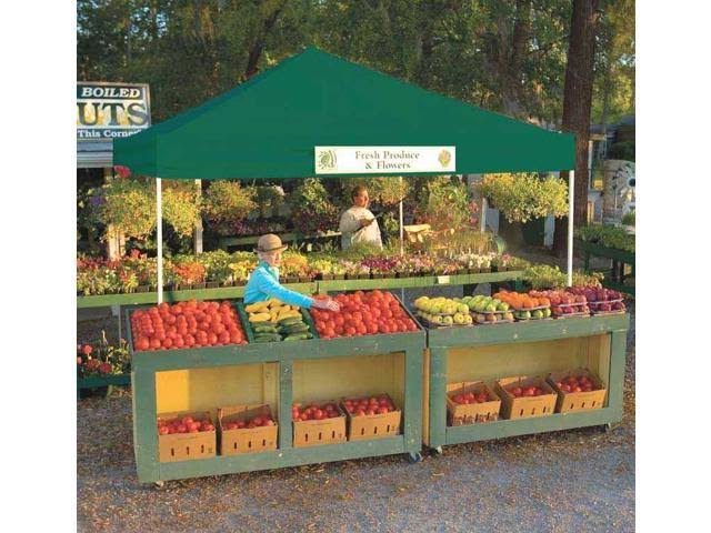 12 x 12 Green Pop-Up Canopy M746