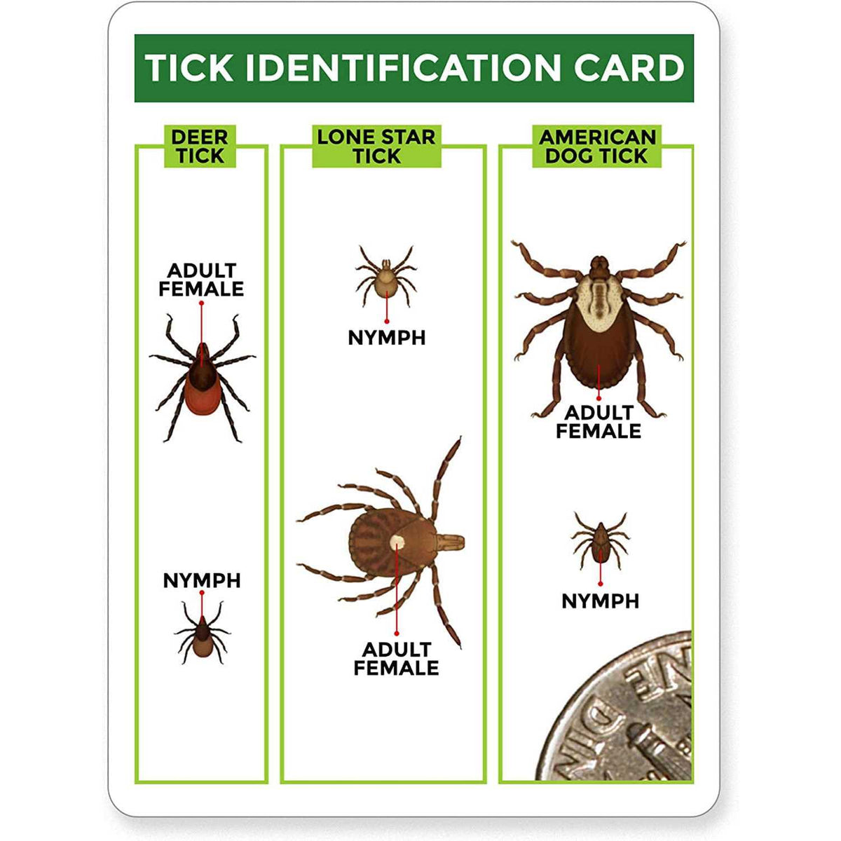 3 Pack Tick Remover Tools + Tick Identification Card S4956