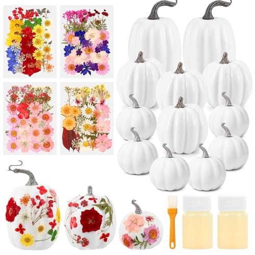 12 Pcs White Artificial Pumpkin and 140 Pcs Dried Flowers DIY Crafts Kit N81715