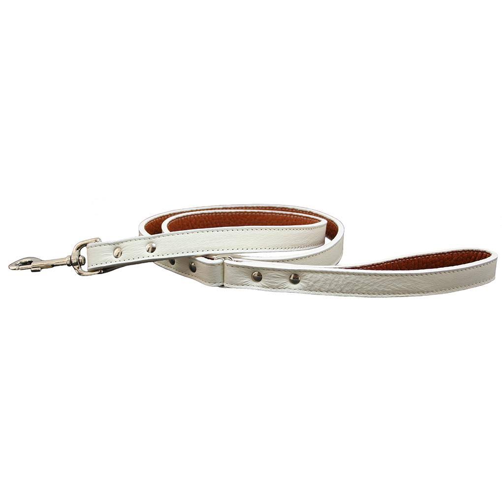 White Dog Leash J584247