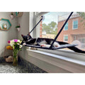 Window Kitty Sill N539173