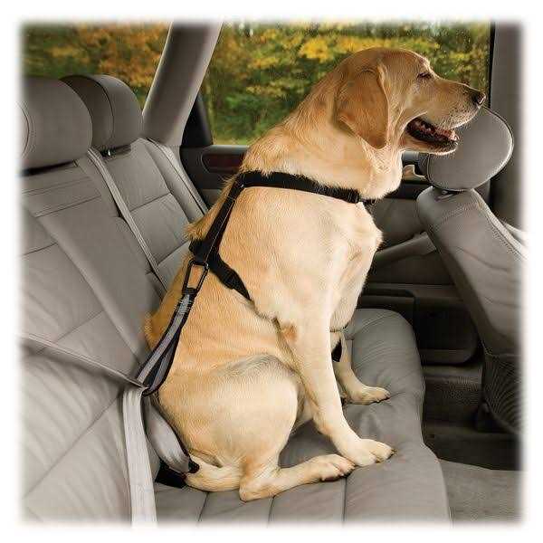 Seat Belt Tether with Carabiner S9936