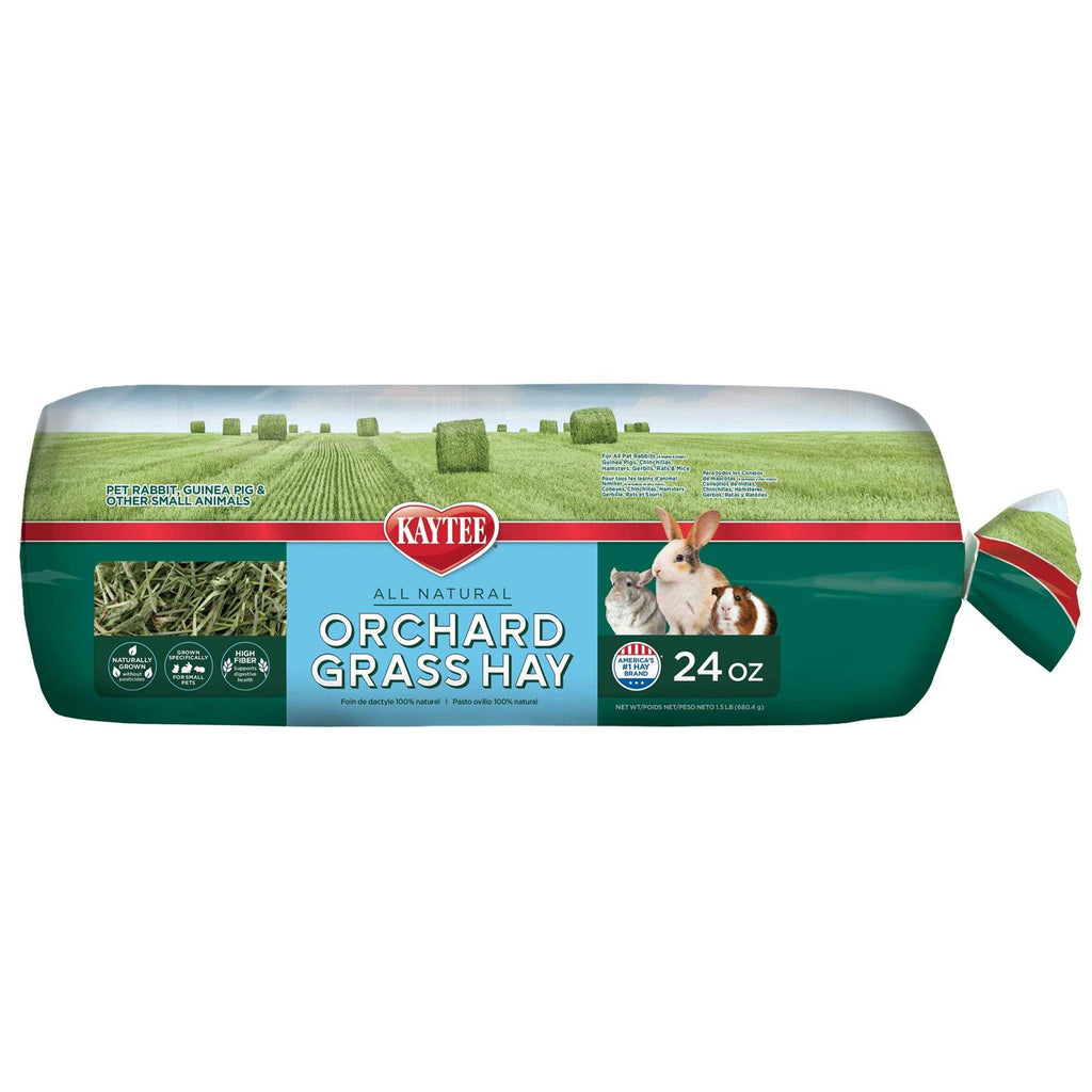 Orchard Grass C520731