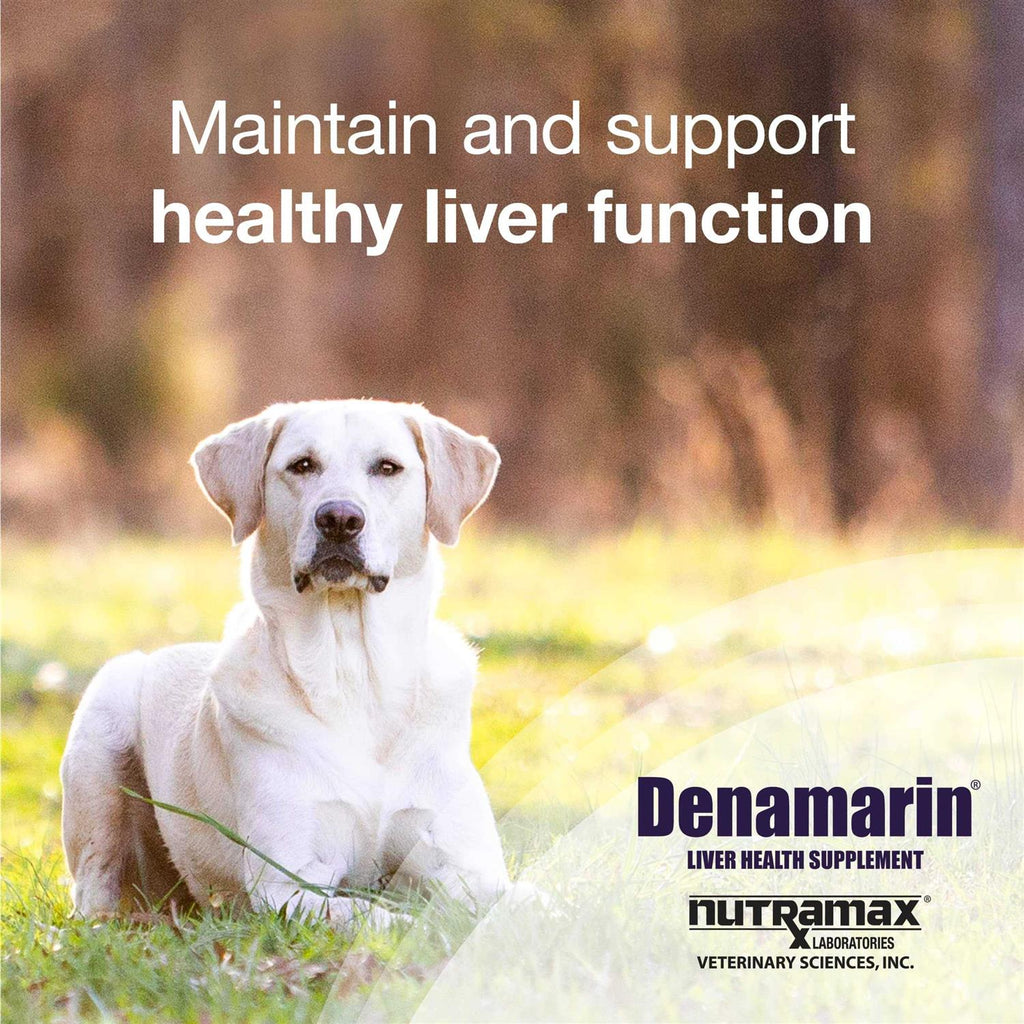 Dog Supplement D393