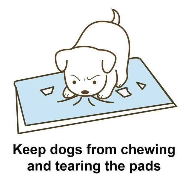 Potty Pad Tray U801