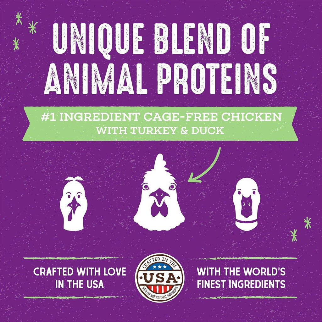 Cage-Free Recipe Dry Cat Food B780207