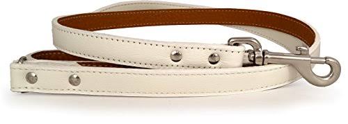White Dog Leash J584247