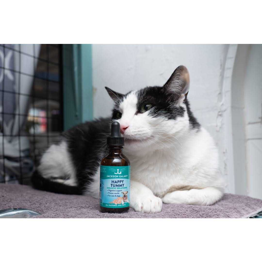 Pet Solution E904048