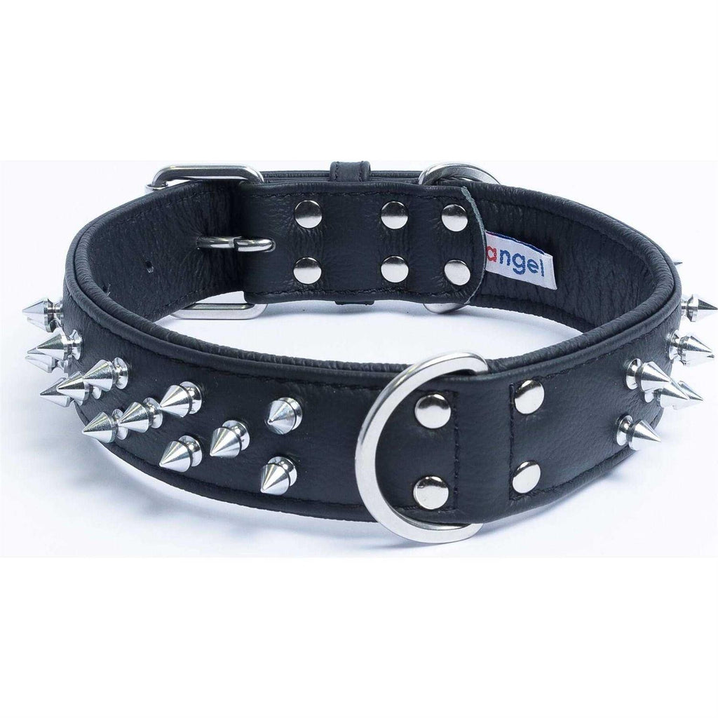 Dog Collar P3458