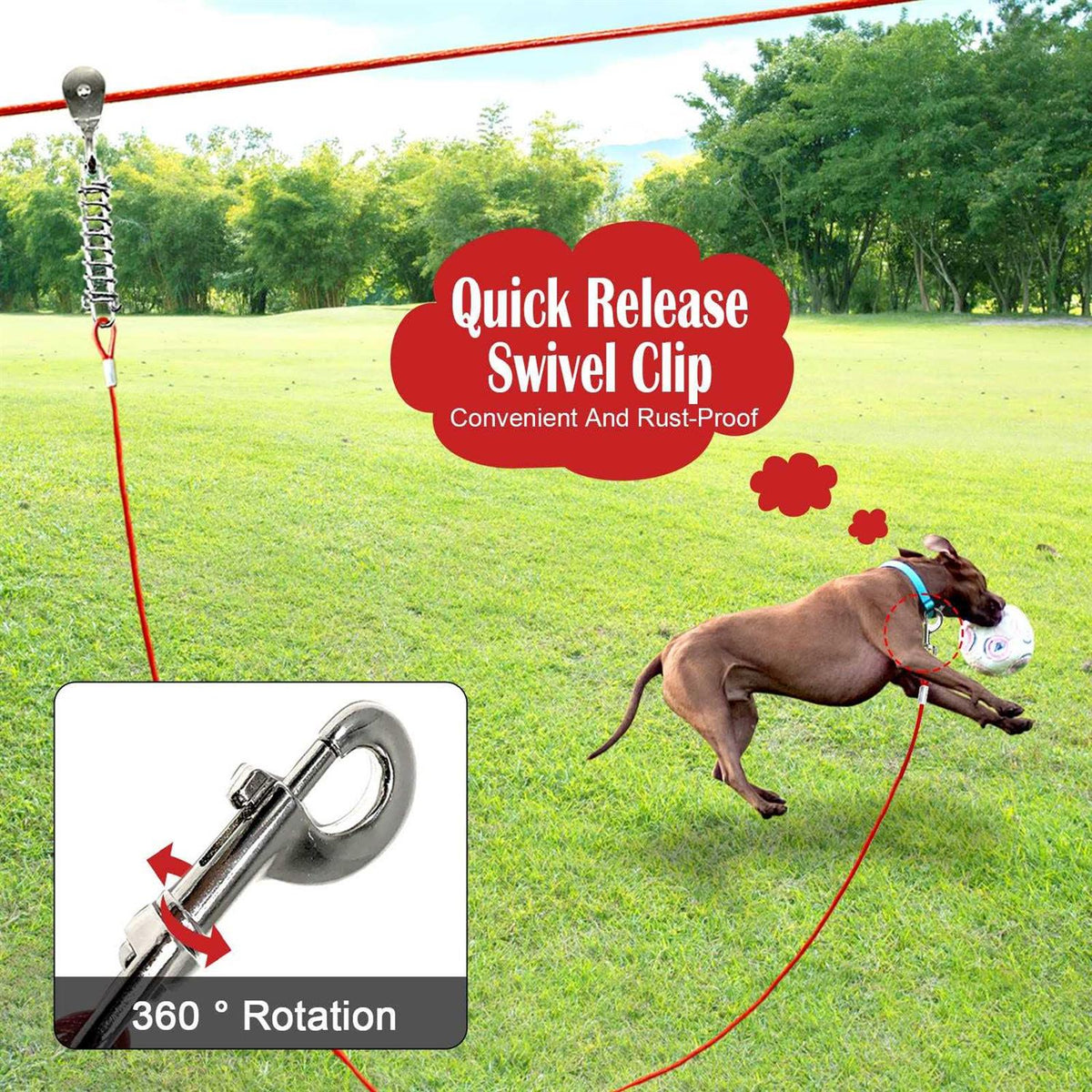 100FT Dog Tie Out Cable F2816