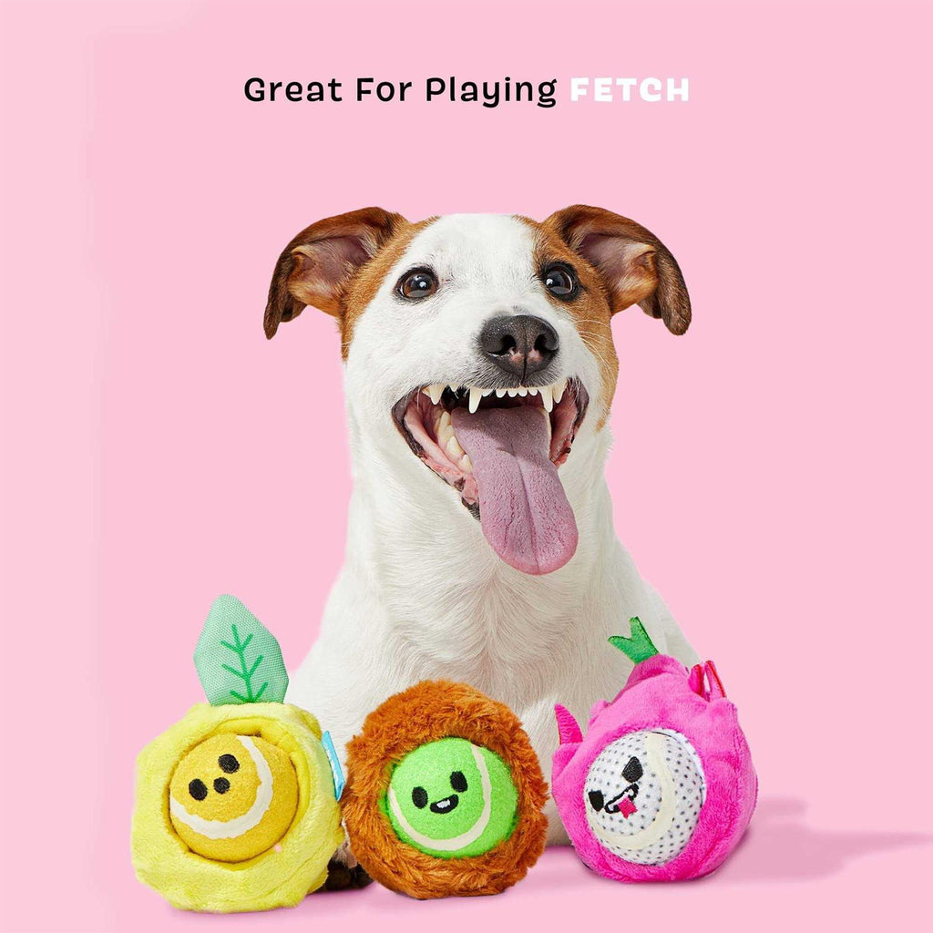 Dog Toys Squeaker Ball Toys H603520
