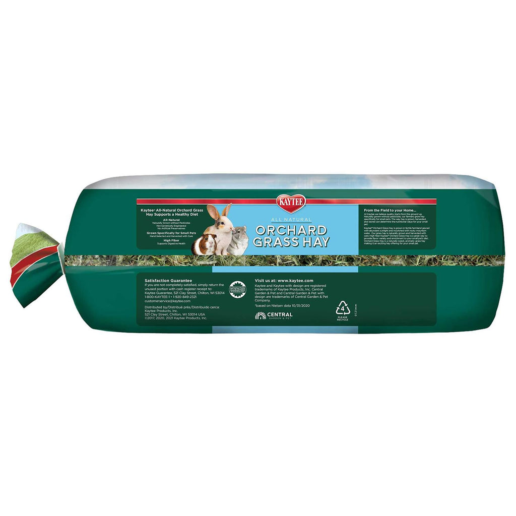 Orchard Grass C520731