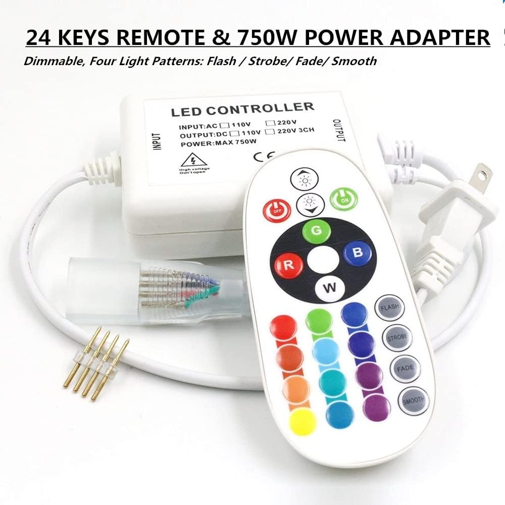 32.8ft RGB LED Rope Light with Remote, Pack of 2 V31061