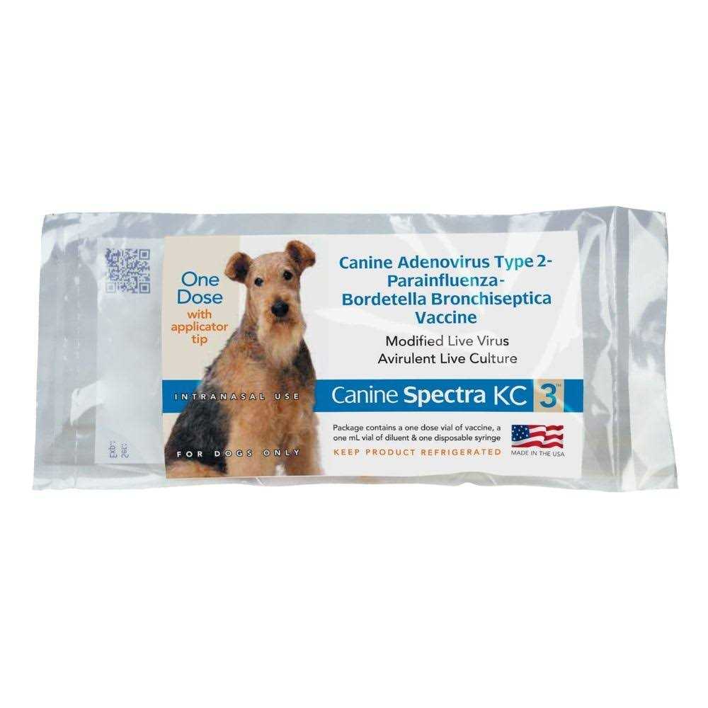 Pet Supplies Y640